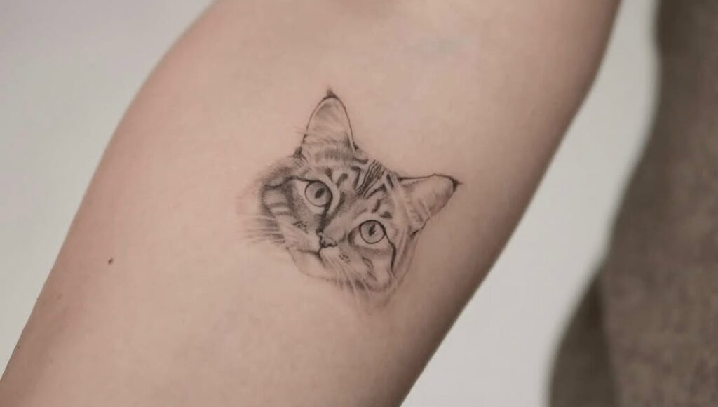 Tatuaggi Fineline Milano - Realizzato da susannarusconi presso Eightlines Tattoo Studio - Tattoo Ritratto Microrealistico Gatto